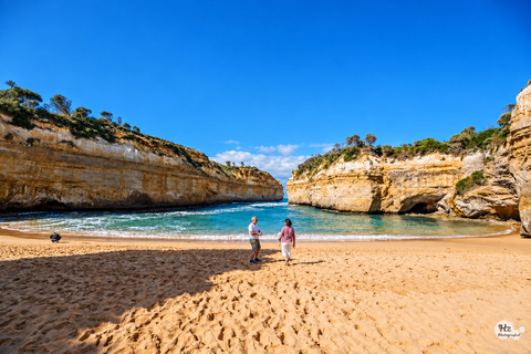 Melbourne: Great Ocean Road Tour, 12 Apostles & Apollo Bay Melbourne CBD Meeting Point (Max 50 guests)