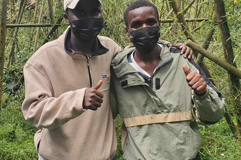 Rwanda Adventure Tours – Kigali, Safaris & Gorilla Trekking