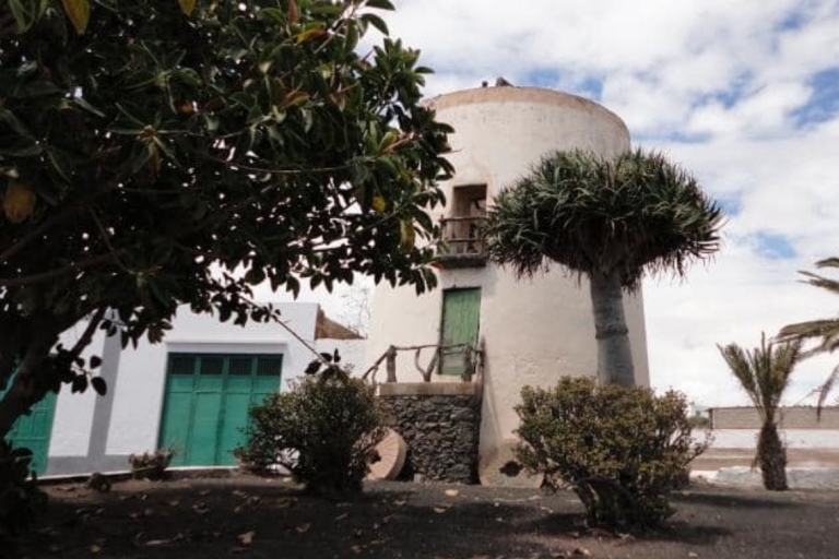 Lanzarote: Visit a traditional mill and taste our gofio. Spanish tour