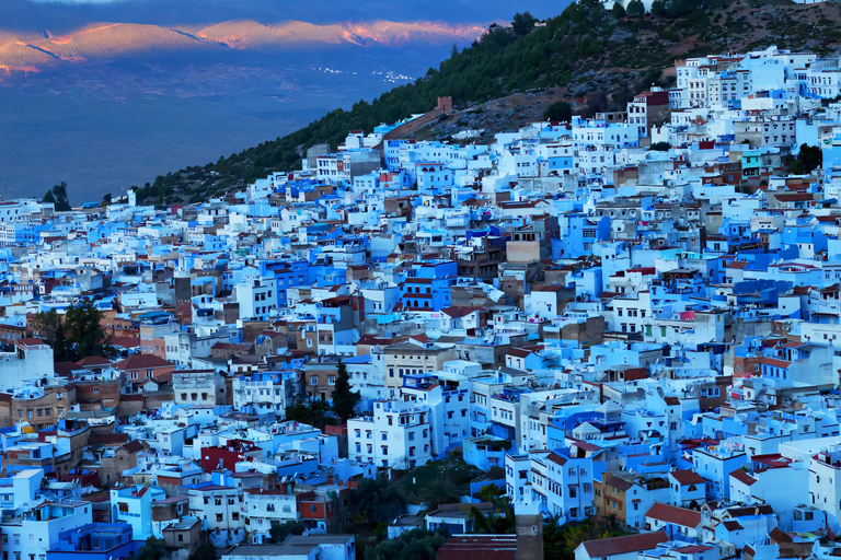 From Tangier: Chefchaouen "Blue Pearl" Guided Day Trip