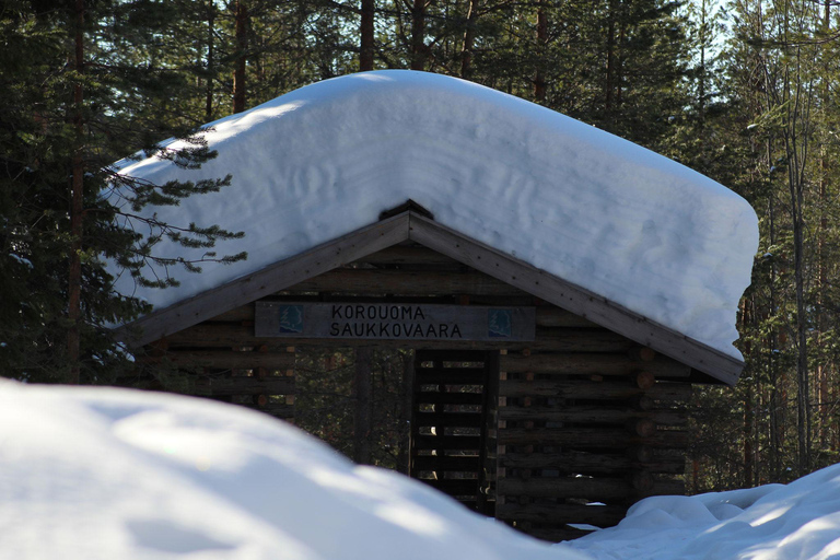 Rovaniemi: Tour durch die Korouoma-Schlucht und die gefrorenen Wasserfälle