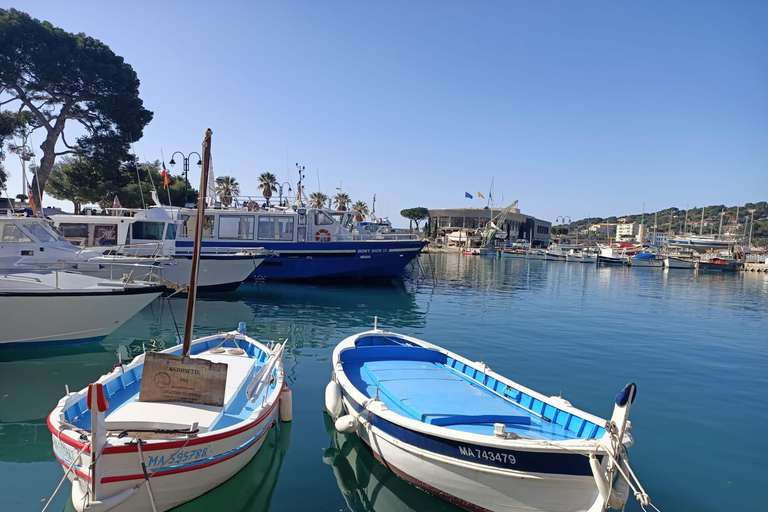 From Aix en Provence: Bandol &amp; Cassis Wine Tour