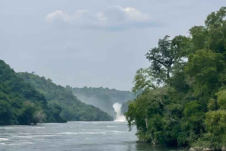 Uganda: 3-Day Murchison Falls & Kibale Chimpanzee Trekking