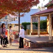 Hahndorf Walking Tour, South Australia