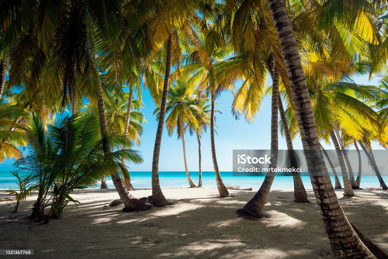 Punta Cana: Escursione sull&#039;isola di Saona con crociera in catamarano