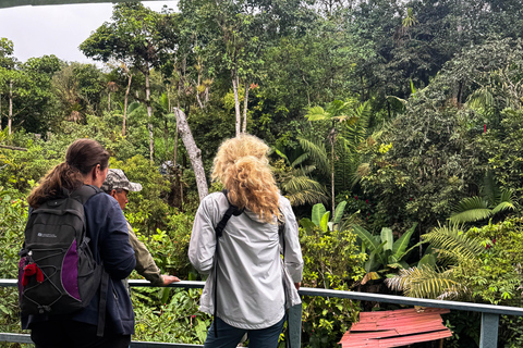 Quito: 2-Day Mindo Cloud Forest Adventure