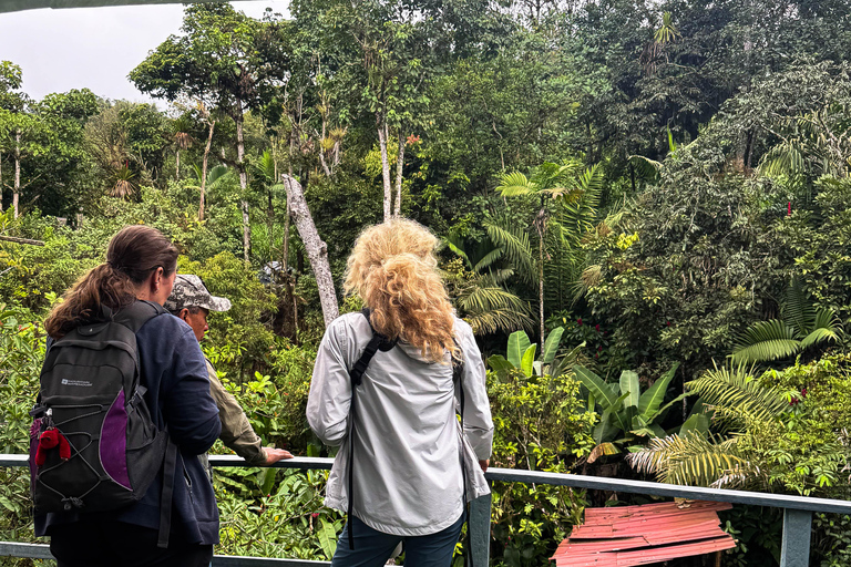 Quito: 2-Day Mindo Cloud Forest Adventure