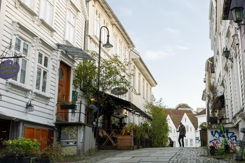 Private Stavanger city Highlights Driving tour