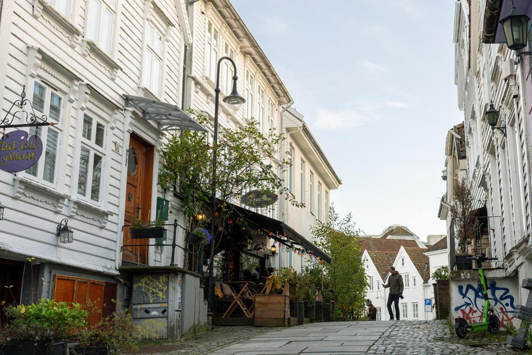 Private Stavanger city Highlights Driving tour