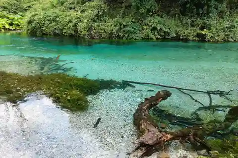From Saranda: Explore Blue Eye- The Monument of Nature