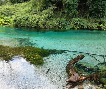 Da Saranda: Esplora l'Occhio Blu - Il Monumento della Natura