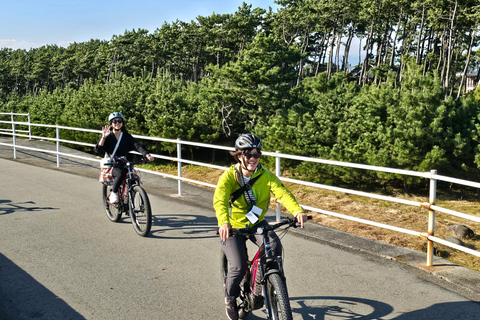 La città di Fuji: Tour panoramico in E-Bike del Monte Fuji