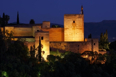 Granada: Alhambra Visita Nocturna Ticket de entradaVisita Nocturna a los Palacios Nazaríes y al Palacio de Carlos V