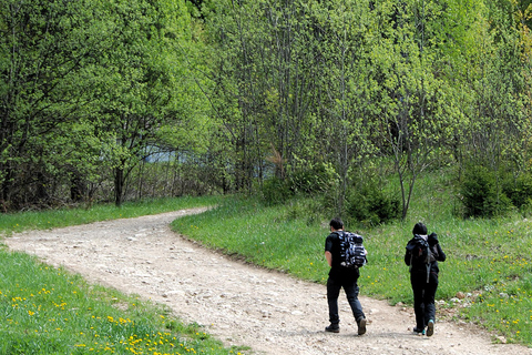 Poiana Brașov: setas silvestres y secretos del bosque