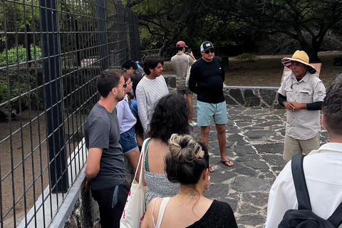 Isabela: Full Day with Penguins, Flamingos, Turtles, and Blue Sharks