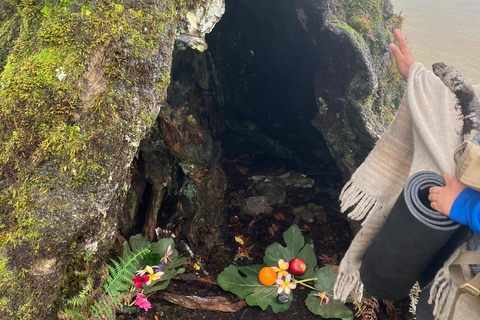 Madeira: Fanal Forest Tree Connection Zeremonie &amp; Picknick