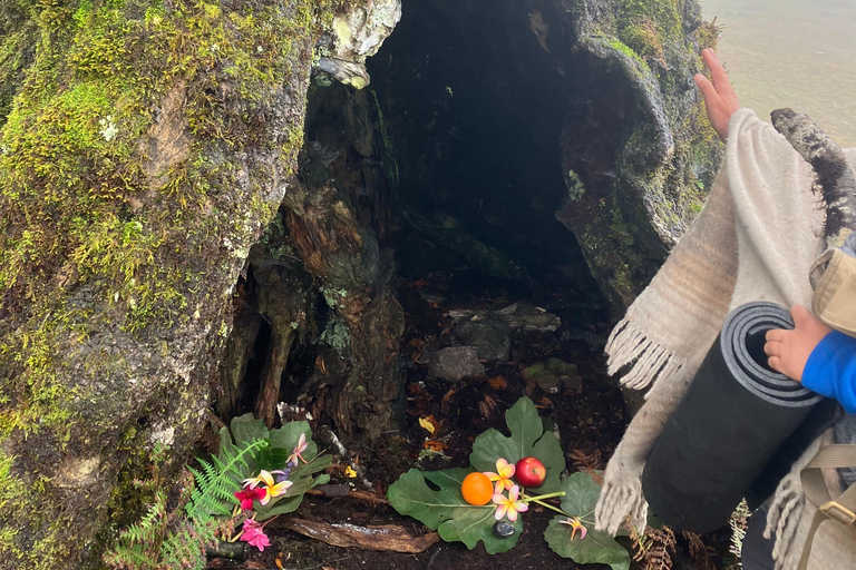 Madeira: Fanal Forest Tree Connection Zeremonie &amp; Picknick