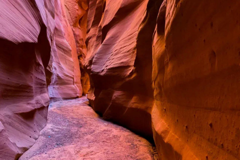 Vallée d&#039;Antelope : Randonnée dans le canyon de Ligai Si Anii