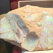 Brisbane: Opal Museum Entry Ticket with Virtual Guide