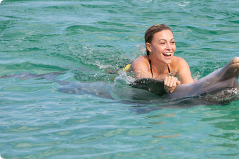 Punta Cana: Dolphin and Shark Swim