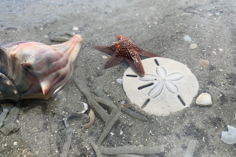 Crociera fluviale privata di 2 ore con sosta a Morris Island