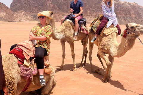 Wadi Rum: 2-Day Southern Desert Tour, Camel & Stargazing