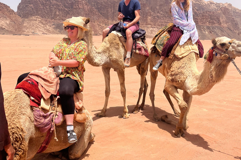 Wadi Rum: 2-Day Southern Desert Tour, Camel & Stargazing