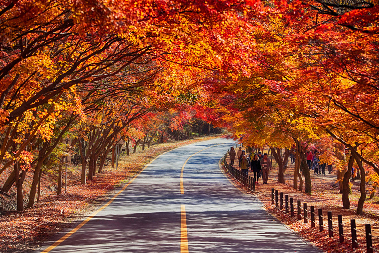 Seúl: Parque Nacional Naejangsan, tour de un día para ver el follaje otoñalVisita compartida a Naejangsan, encuentro en la estación de Myeongdong
