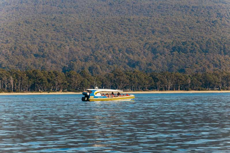 From Hobart/Adventure Bay: Bruny Island Wilderness Cruise | GetYourGuide