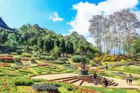 Nature Walk of Chandigarh( 2 Hours Walking Tour)