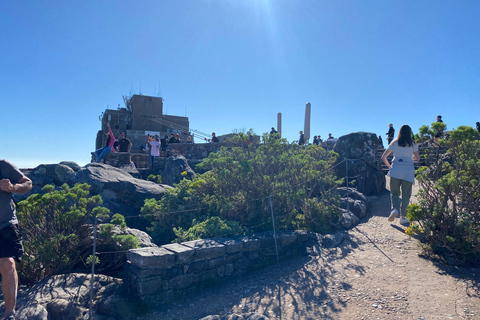 Robben Island Tour & Table Mountain guided Tour