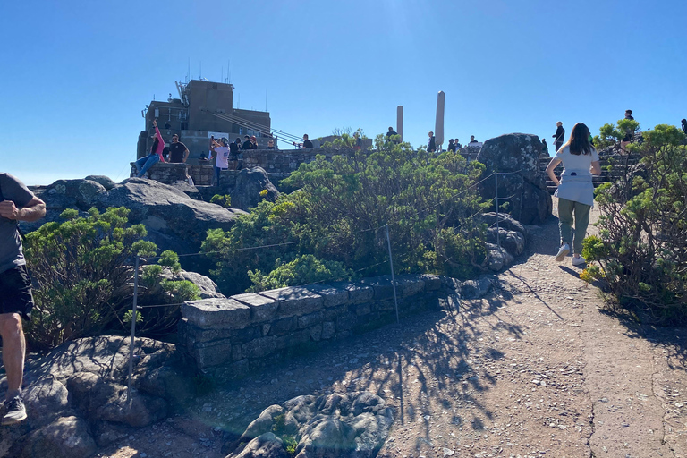 Robben Island Tour & Table Mountain guided Tour