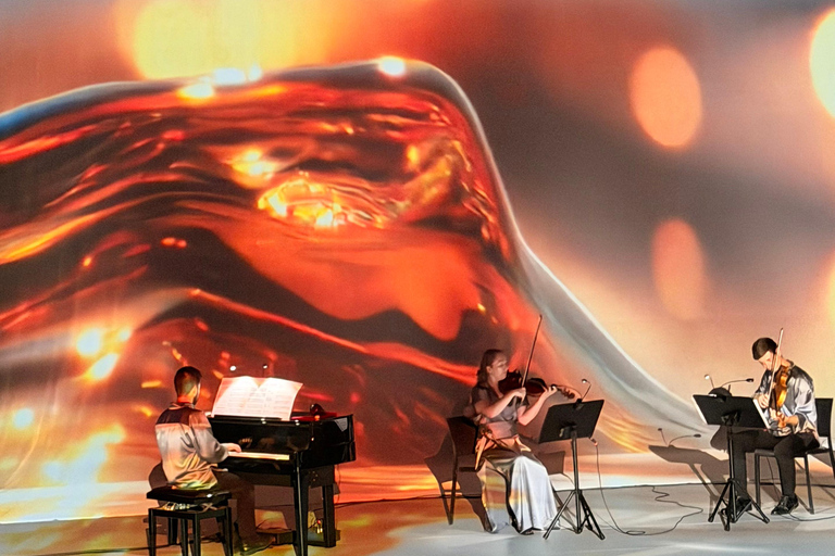 ✨Immersive Light & Music Show in Bilbao by Under The Tree