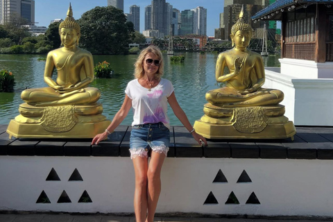 Kandy To Colombo Transfer With Tea Factory & Train Ride