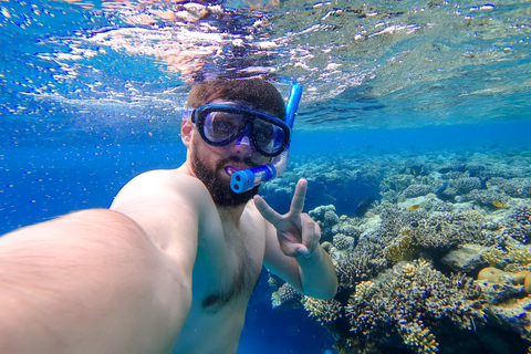 Jeddah: Red Sea Snorkeling Experience from the Beach