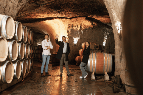 Bilbao: Rioja Wine Tour with Tastings and LunchPrivate tour option (English)