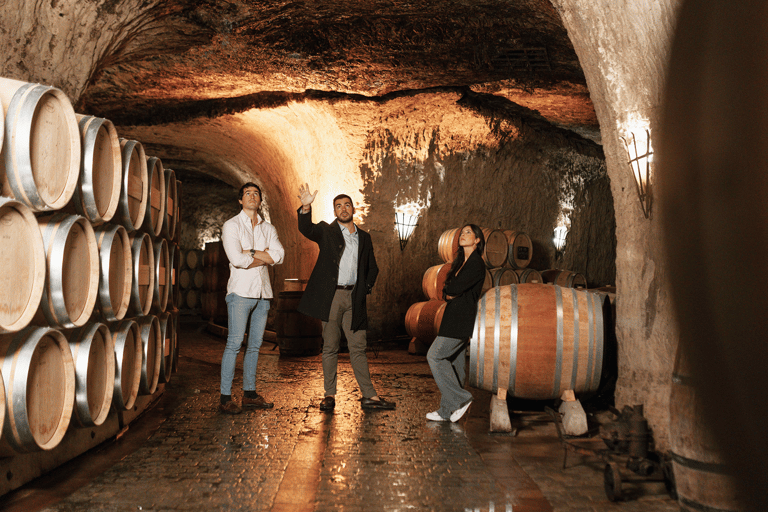 Bilbao: Rioja Wine Tour with Tastings and LunchPrivate tour option (Spanish)