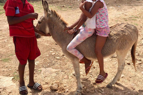 Boavista: Tradycyjna i lokalna wycieczka