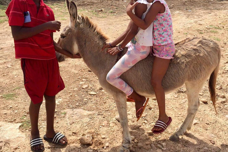 Boavista: Tradycyjna i lokalna wycieczka