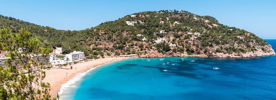 Ibiza : Excursion à terre ultime avec prise en charge au port
