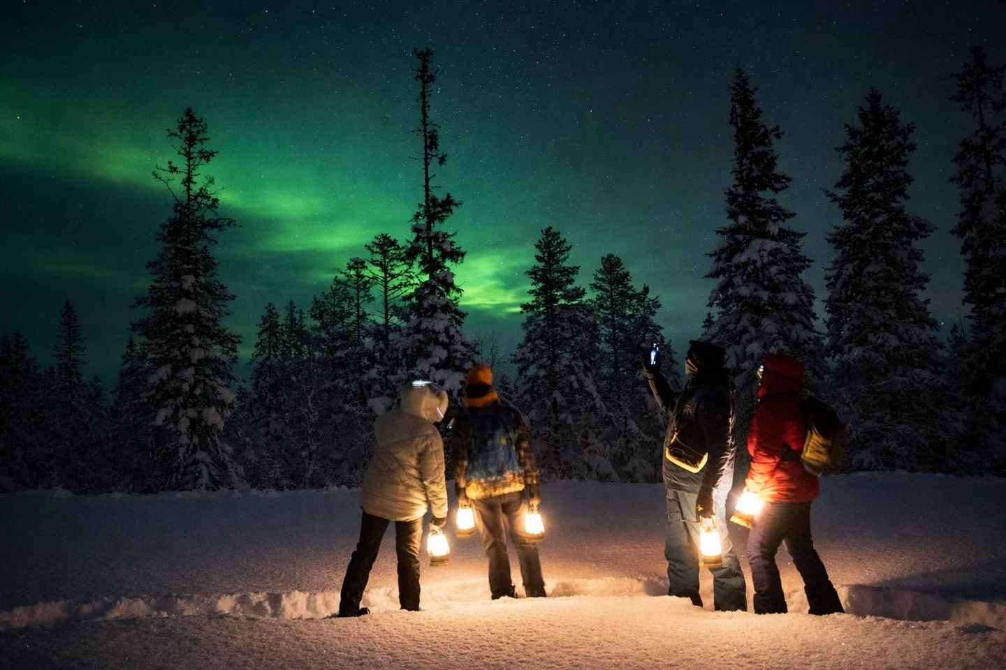 Sälen: Northern Lights Snowshoe Adventure with Pickup