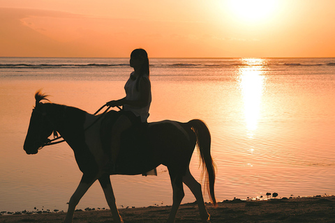 Horse Riding With Optional Sunrise & Red Sea Desert Hurghada {VIP} Horse Riding 4 Hours – With Swim Stop Only