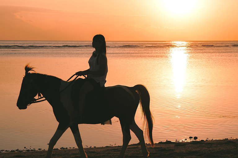 Horse Riding With Optional Sunrise & Red Sea Desert Hurghada {VIP} Horse Riding 4 Hours – With Swim Stop Only
