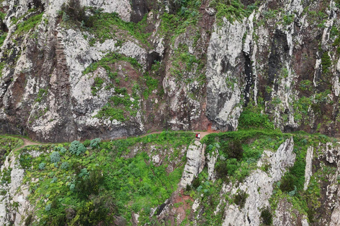 Madeira: Vereda do Larano Guided Hike with Views