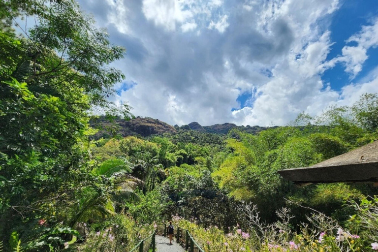 Nadi: Private Tour with Temple, Garden, Markets & Mud Pools