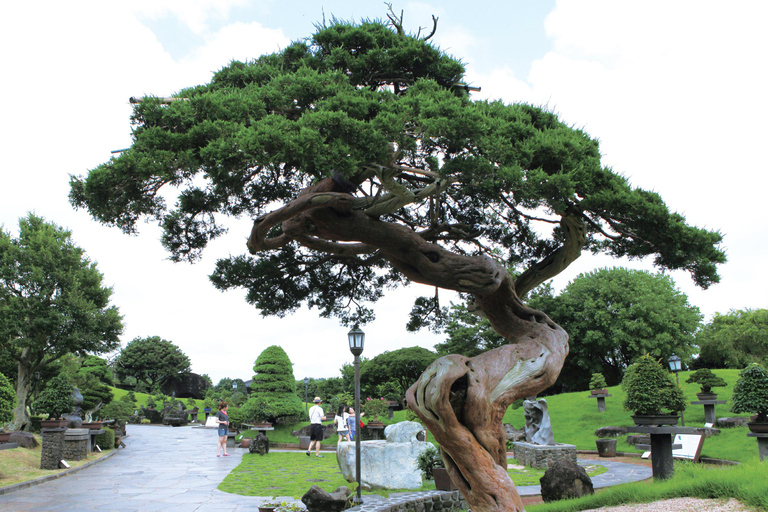 Jeju: Spirited Garden Entry Ticket