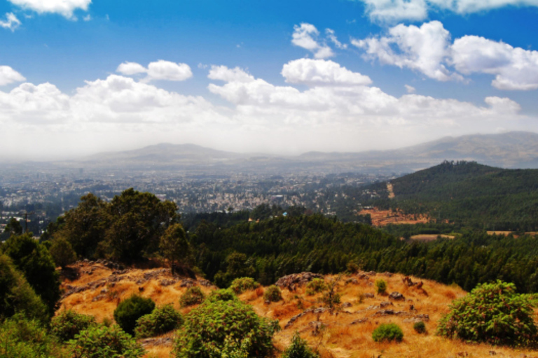 Addis Ababa: Full-Day Nature Tour with Wildlife & Villages