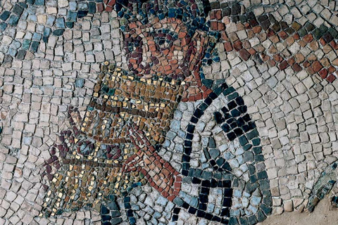 Domus Tappeti di Pietra Entry Ticket