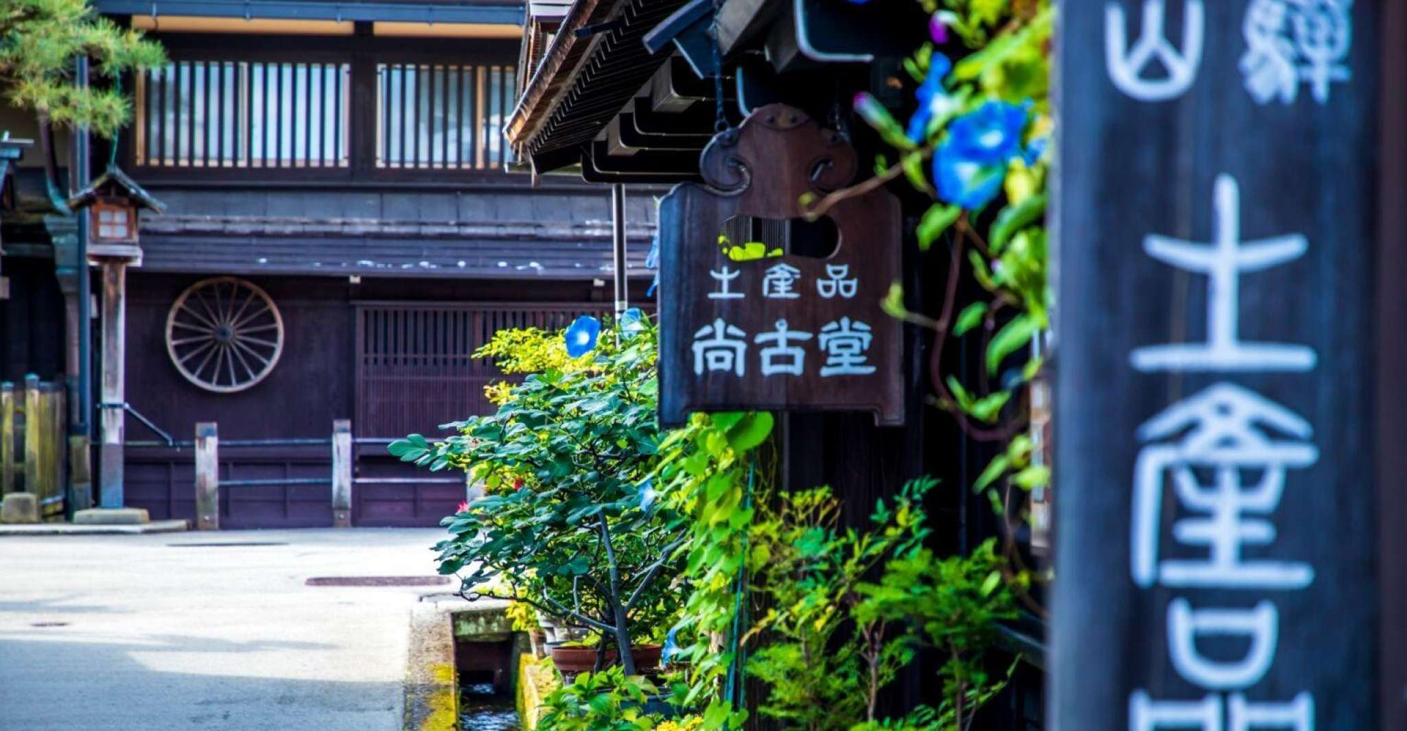 From Takayama, Immerse in Takayama's Rich History and Temple - Housity