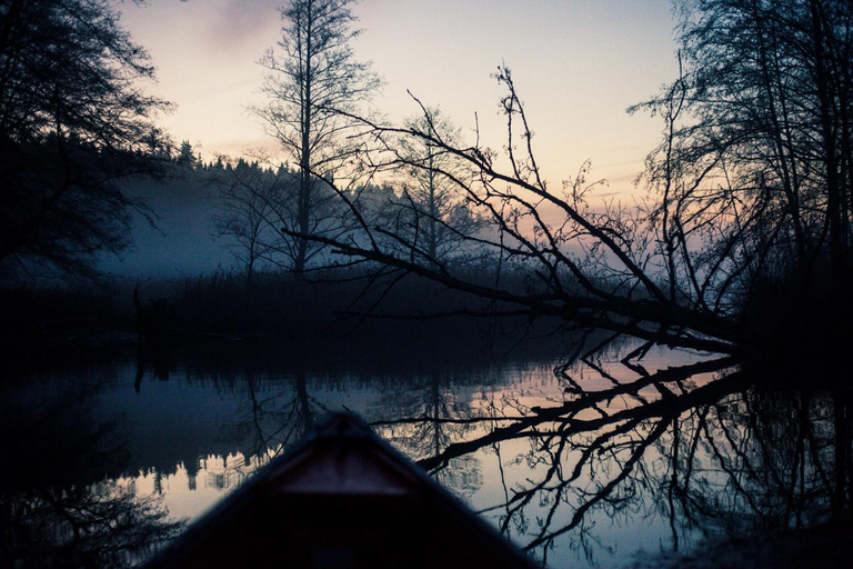 Stockholm: Sunset Canoe Beaver Safari & BBQ on Island Stockholm Pickup & Drop-off